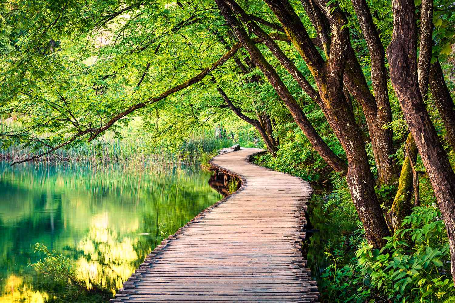 Nature & Adventure